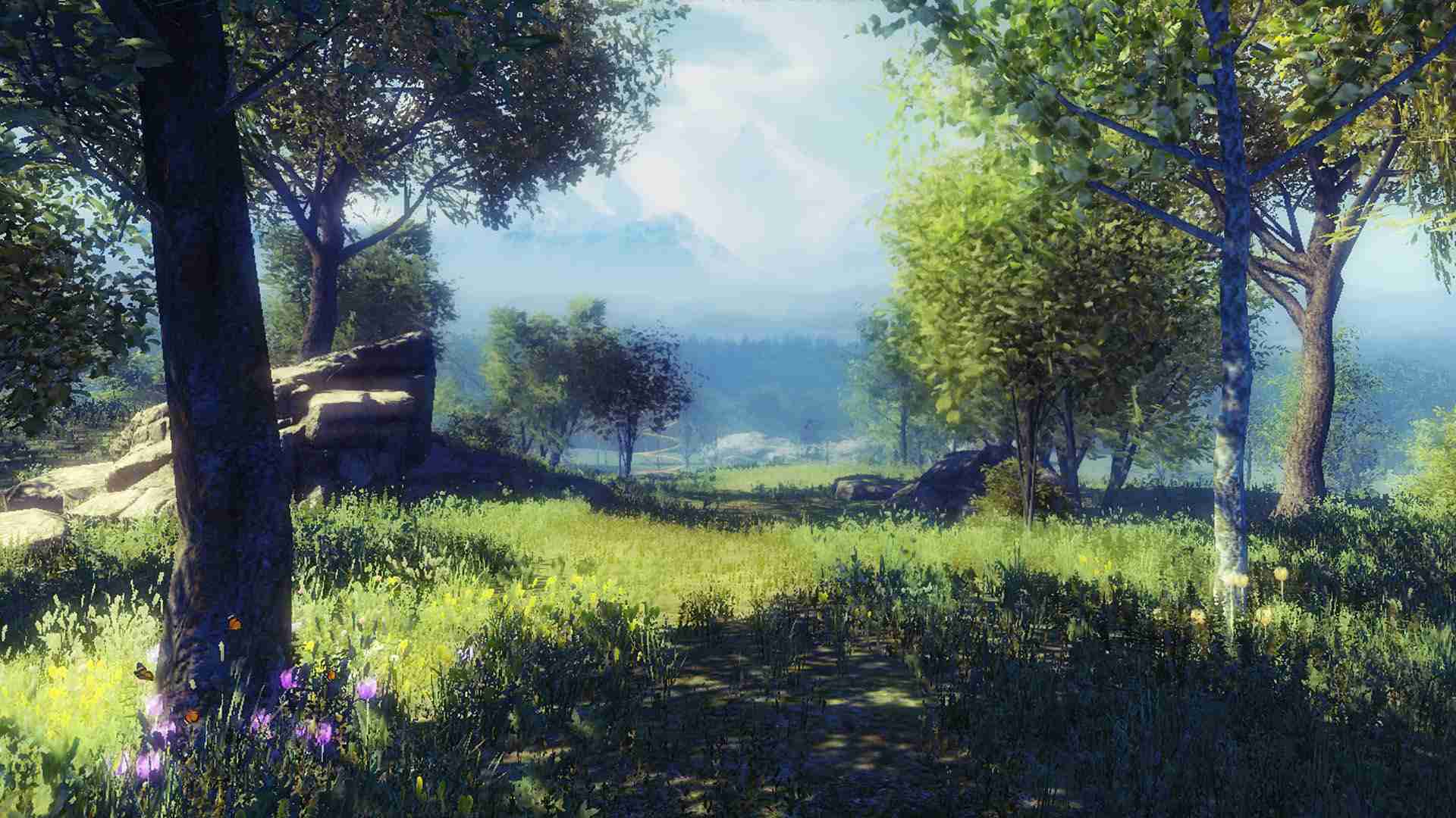 VR in de Voorjaarsvakantie