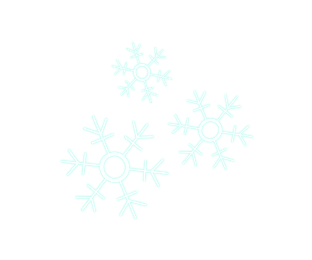 Snow particles