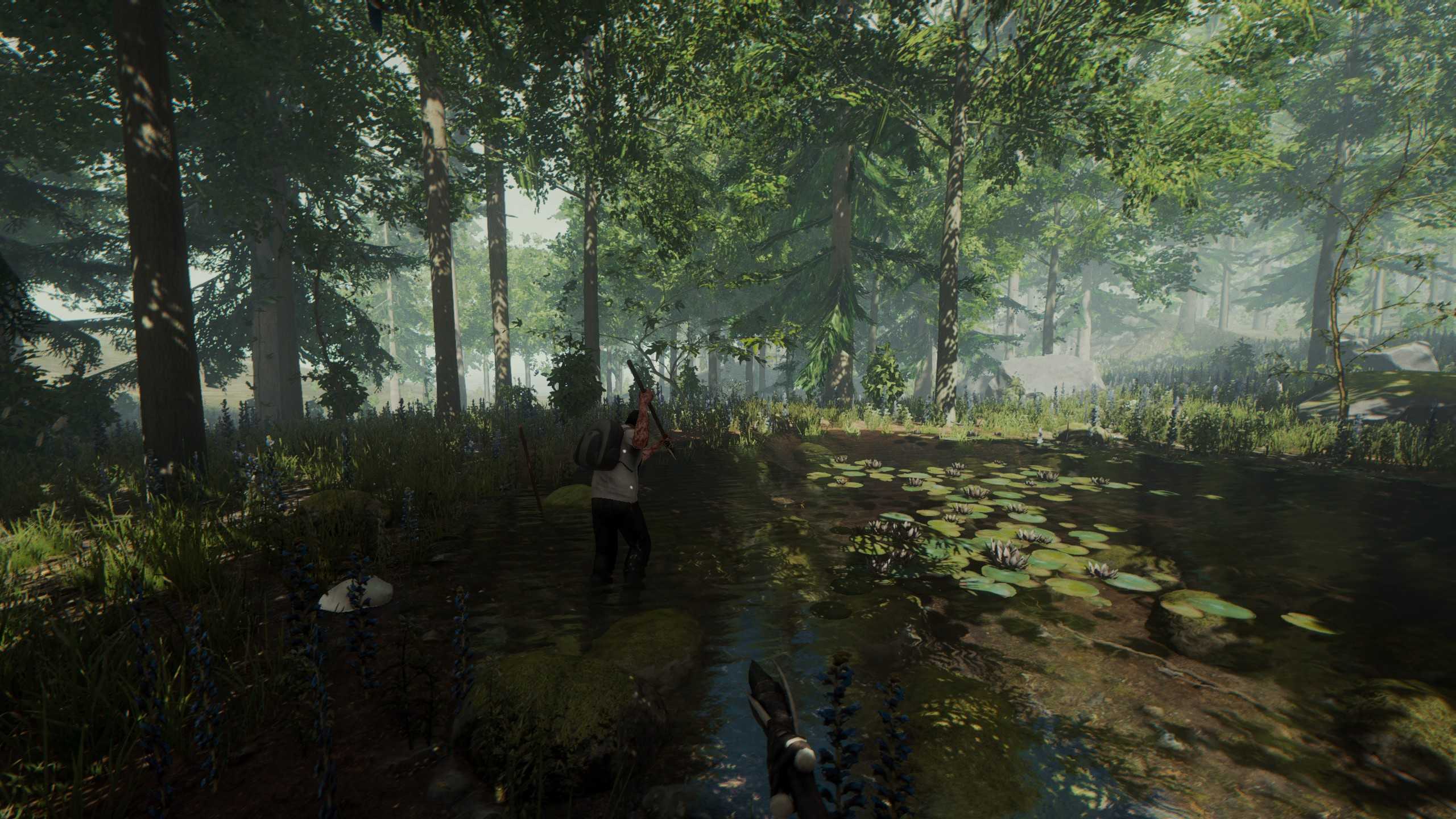 The Forest VR